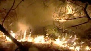 Islamabad Fire