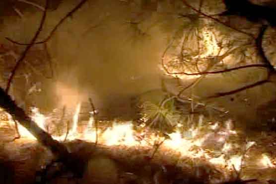 اسلام آباد : مارگلہ پہاڑیوں میں لگنے والی آگ پر قابو نہ پایا جا سکا