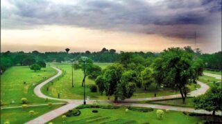 Lahore Rain