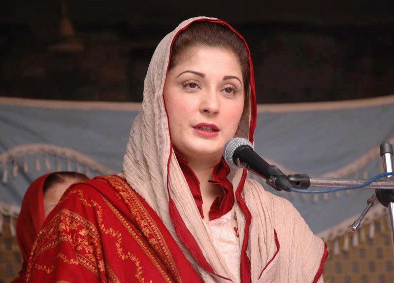پنجاب میں اب صرف شیروں کی آواز ہی گونجے گی،مریم نواز
