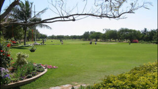 Open Golf Tournament