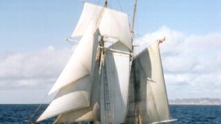 Sail Boat