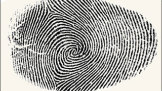 Ballot Papers Thumb