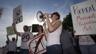 Demonstration