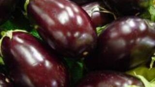 Eggplant