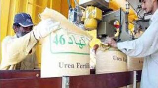 Fertilizer