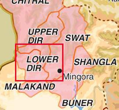 لوئر دیرسینوے ہزار جعلی بیلٹ پیپرز برآمد