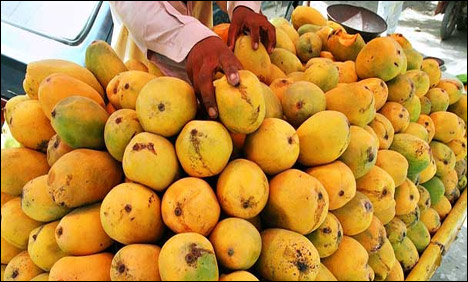 25 مئی سے آم برآمد کرنے کی اجازت ،نوٹیفکیشن جا ری