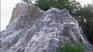 Mount