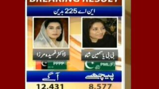NA 225 Badin