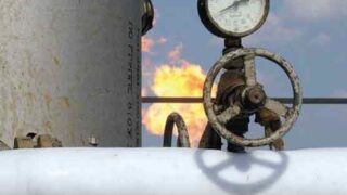 Oil