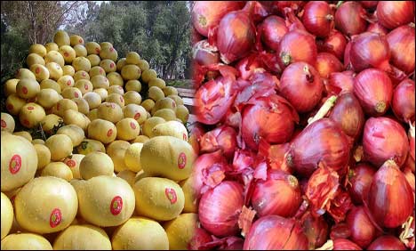 کراچی : پیاز کی قیمت میں 10 روپے فی کلو اضافہ، خربوزہ سستا ہوگیا