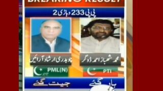 PP 233 Vehari 2