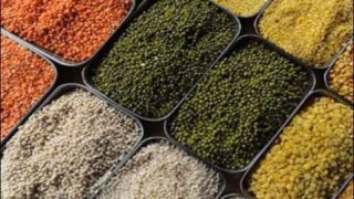 Pulses