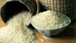 Rice