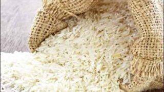 Rice