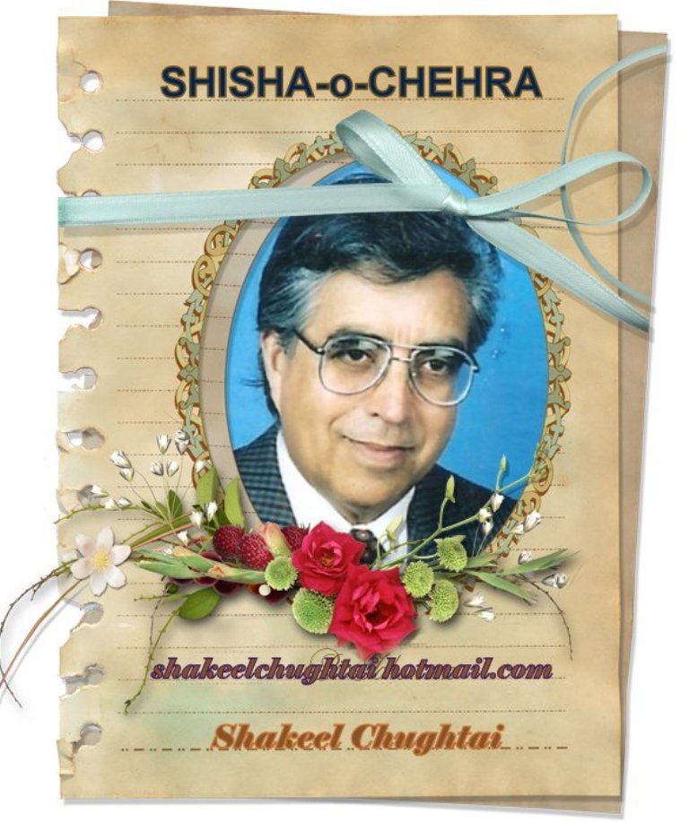 شیشہ و چہرہ جنرل مشرف کی سب سے بڑی غلطی