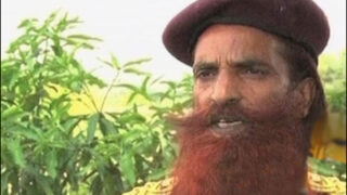 Sanaullah