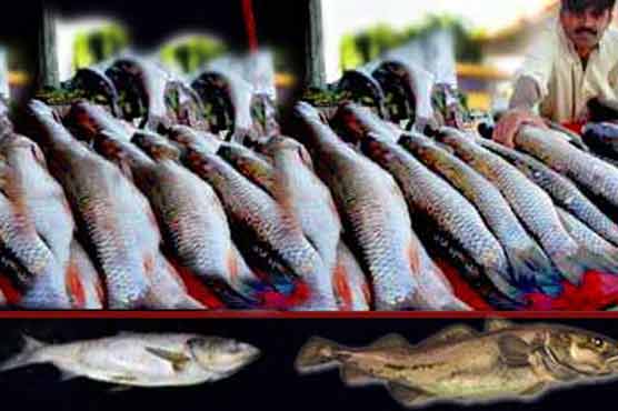 Seafood