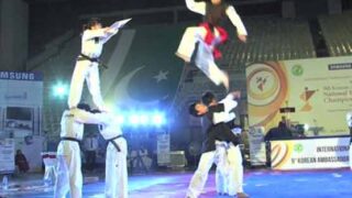 Taekwondo