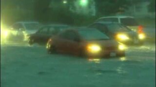 Texas Rain