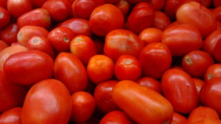 Tomatoes