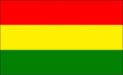 بی این پی نے پارلیمنٹ میں رہنے کا فیصلہ کیا ہے