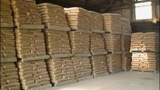 Cement