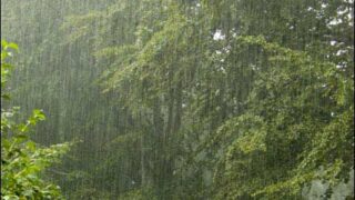 Chance Of Rain