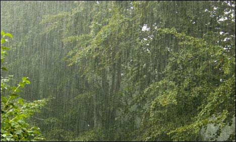 Chance Of Rain