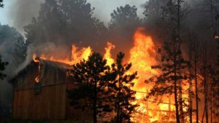 Colorado Forest Fire