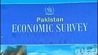 Economic Survey