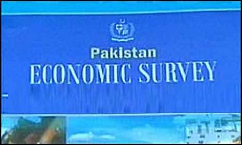 Economic Survey