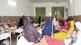 Faisalabad Measles