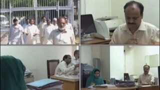 Government Employees