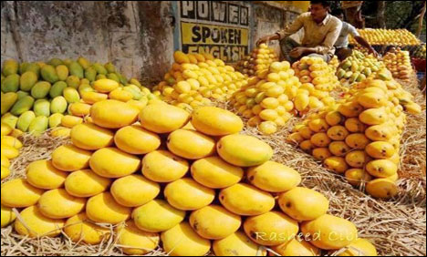 پاکستانی آم کی پہلی کھیپ ماریشس روانہ