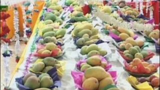 Mirpurkhas Mangoes