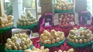 Mirpurkhas Mangoes