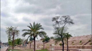 Monsoon Rains