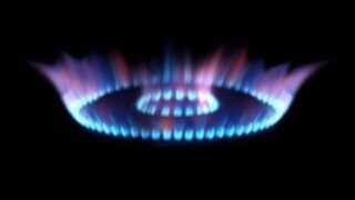Ogra