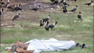 Peshawar Load Shading