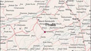 Phalia
