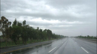 Punjab Rain