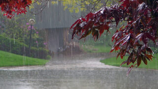 Rain weather