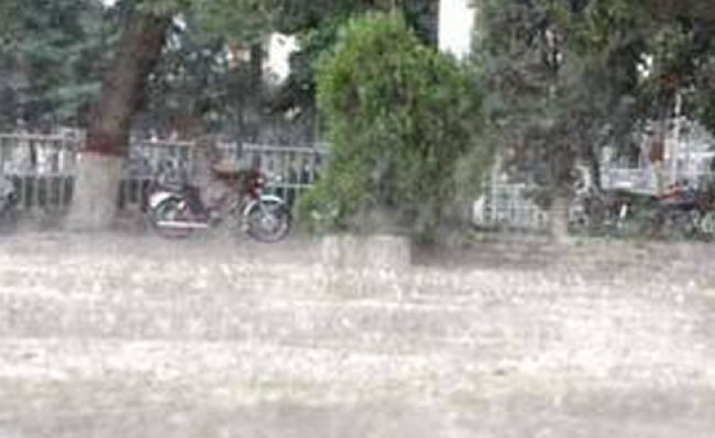 Rain