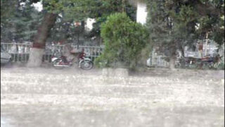 Rain
