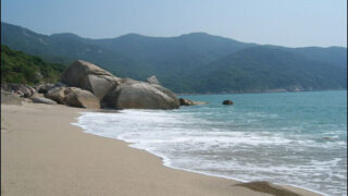 Sea