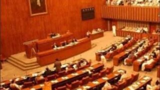 Senate Standing Committee