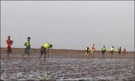 ٹھٹھہ : ایک دن میں سب سے زیادہ پودے لگانے کا ریکارڈ