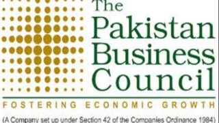 The Pakistan Business